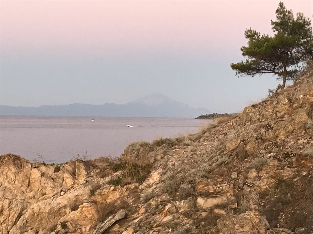 Heos Studios & Apartments主图