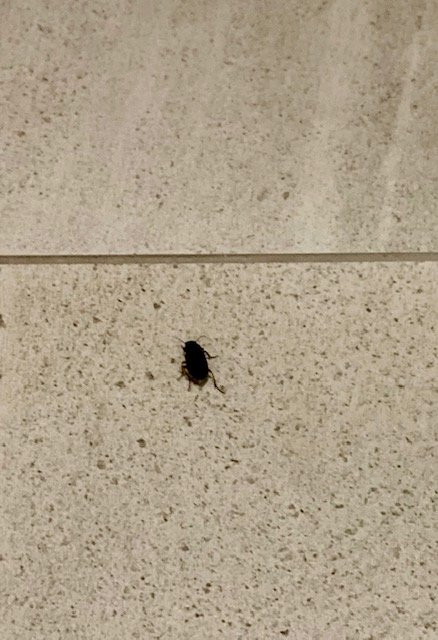 黑斯费尔菲尔德客栈主图