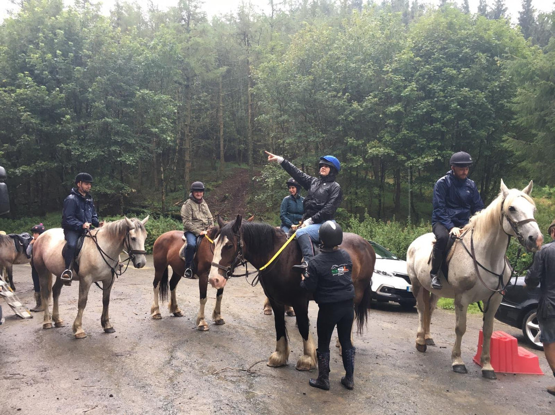 Devil's Bit Pony Trekking-Templemore必去景点