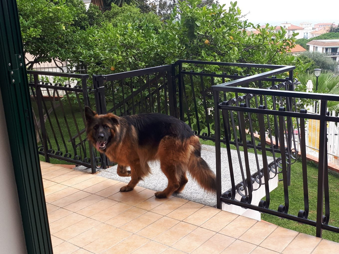 Residence Oleandro主图