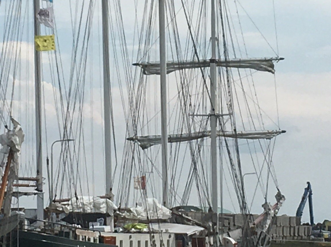 Oudeschild, Texel-特塞尔必去景点