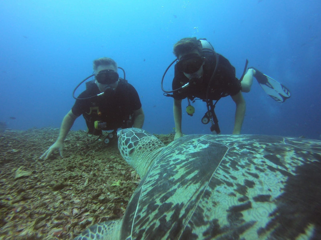 Gili Island Diving Center景点图片