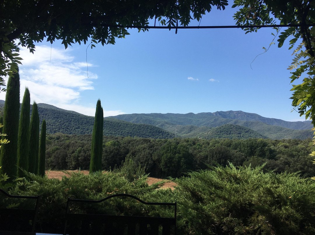 Mas Roure Vell主图