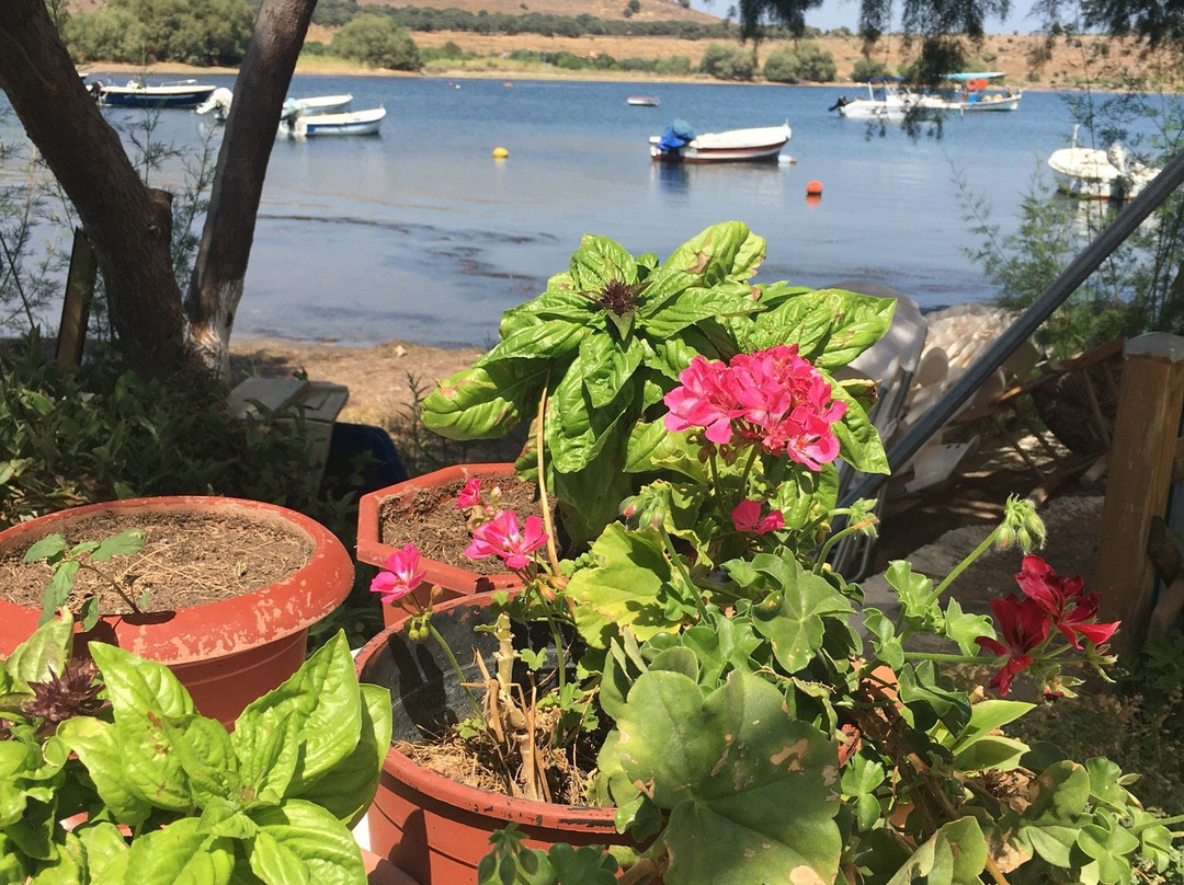 Apothikes旅游攻略图片