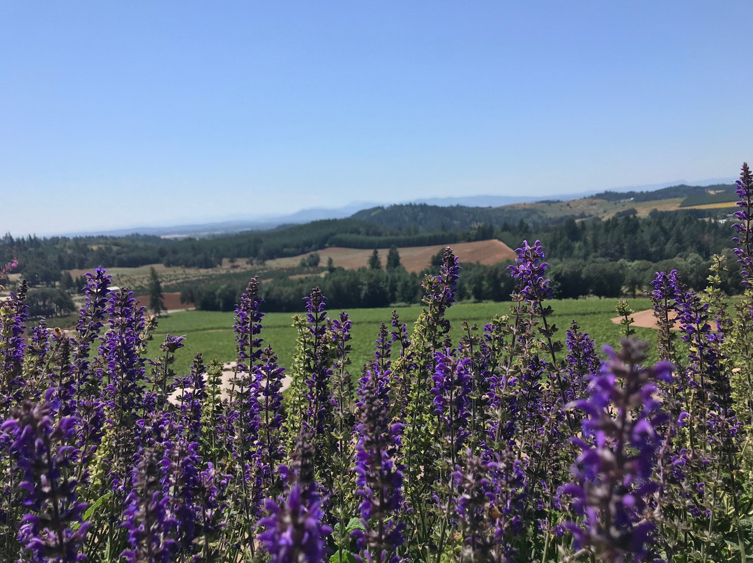 Oregon Coast Tours-太平洋城必去景点