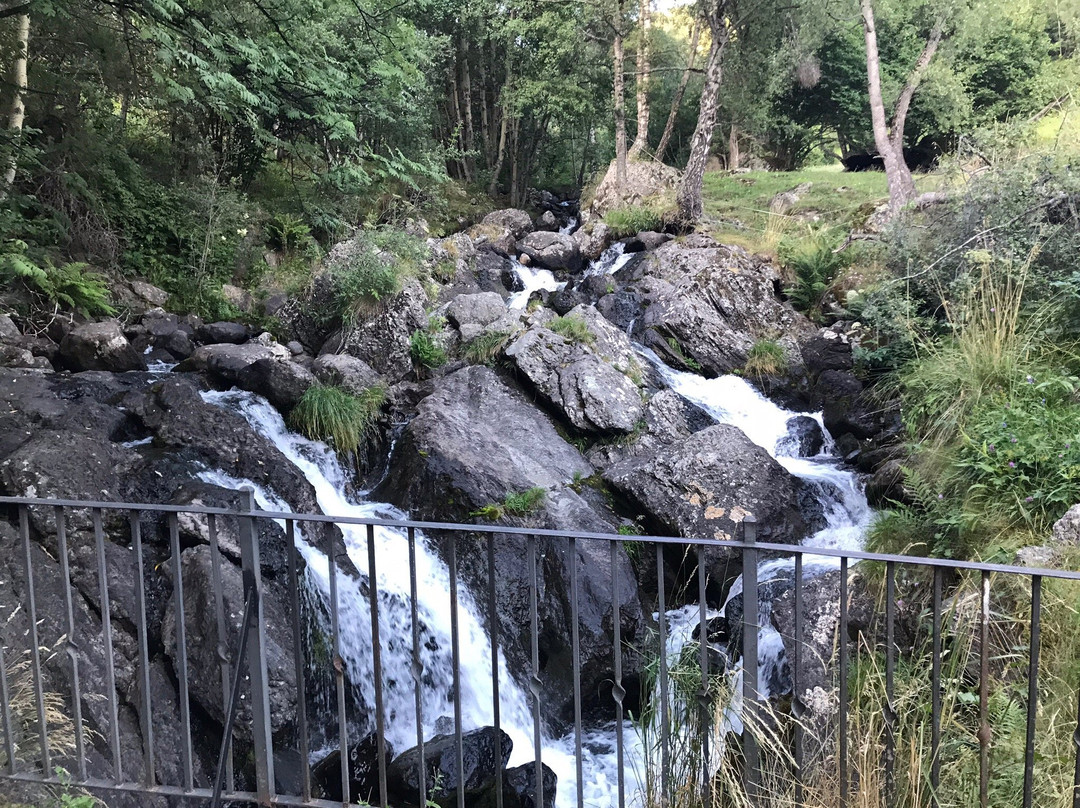 Aparthotel Rialb主图