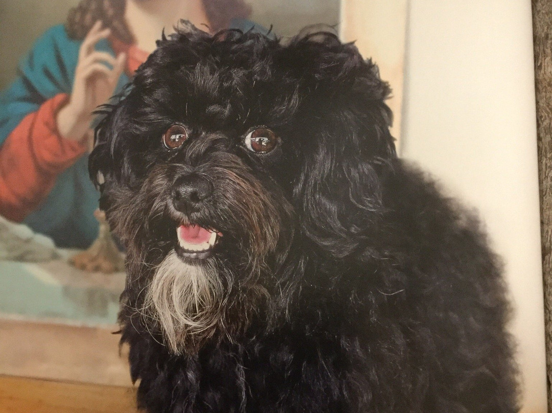 Good Catholic Girl Wines-Sevenhill必去景点