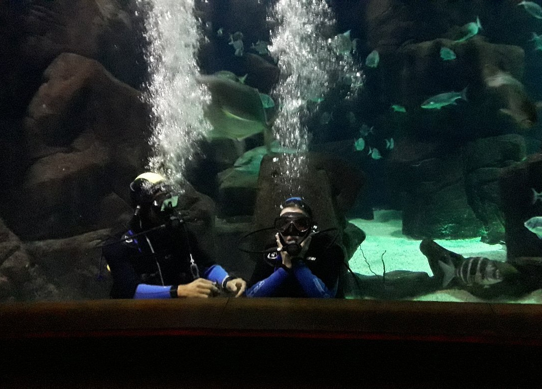 Turtle Diving Center-莫尼什港必去景点