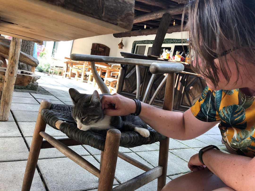 Hotel Hüttenmühle主图