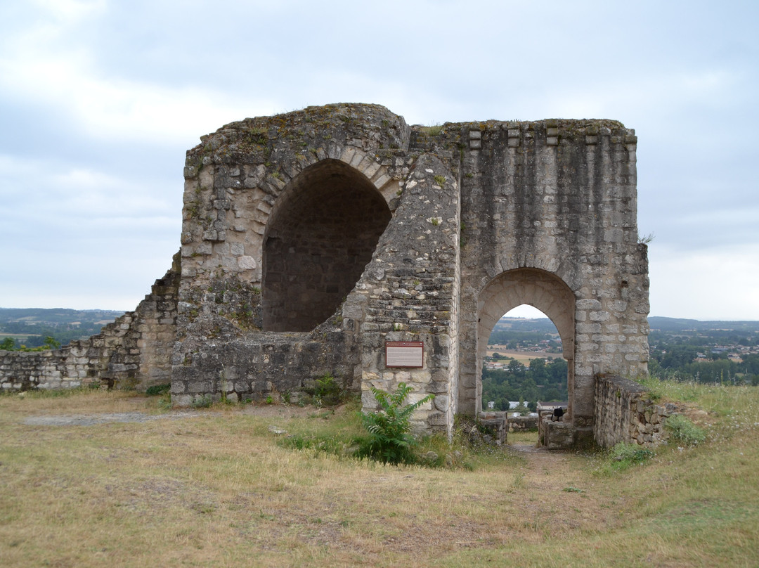 Tour château Castelnau de Lèvis景点图片