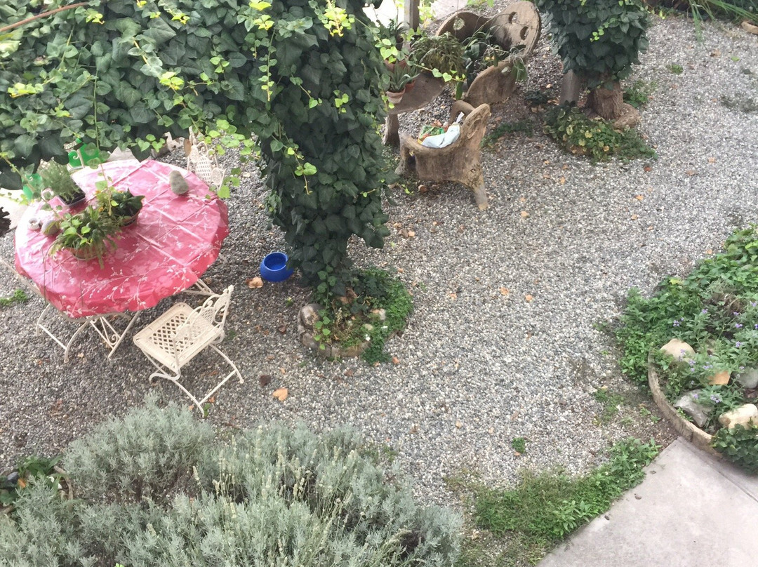 Il Giardino dei Semplici主图