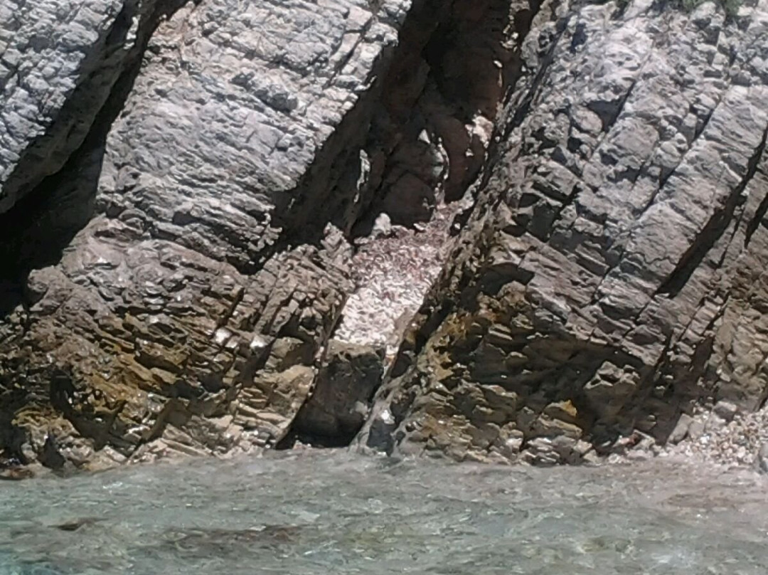 Spiaggia di Seccione景点图片