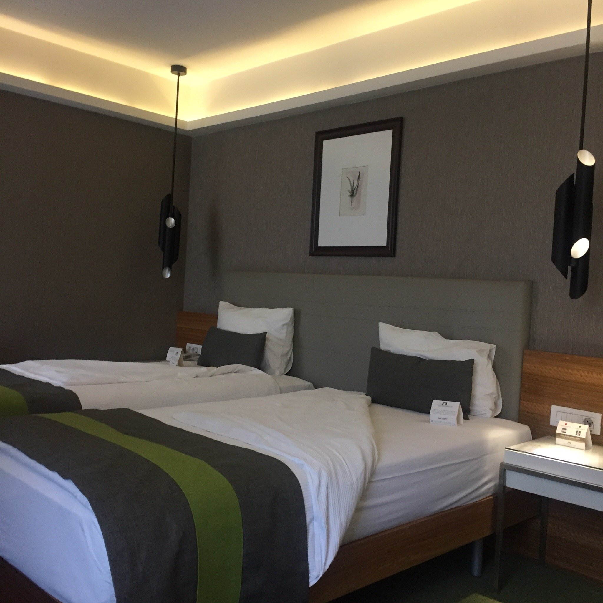 The Crater Hotel-官方