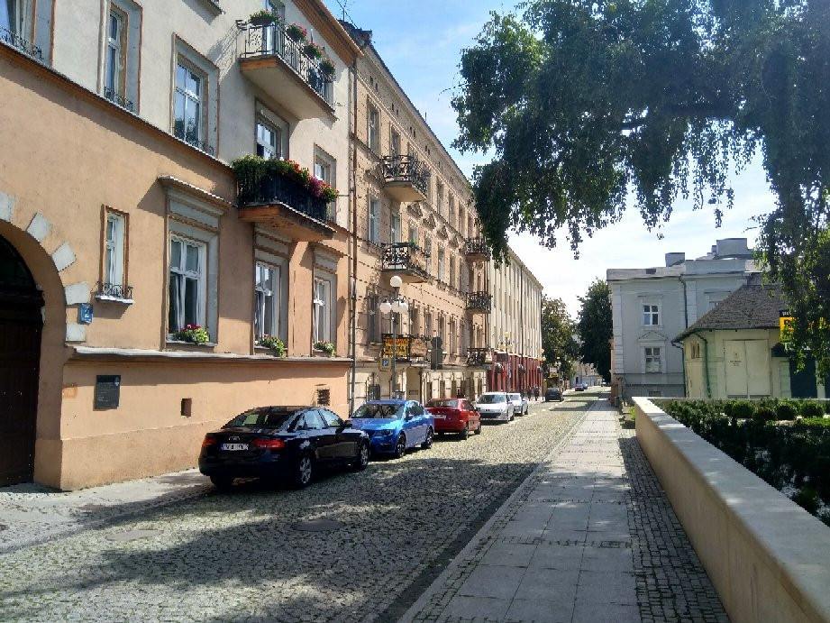 Niecała street景点图片