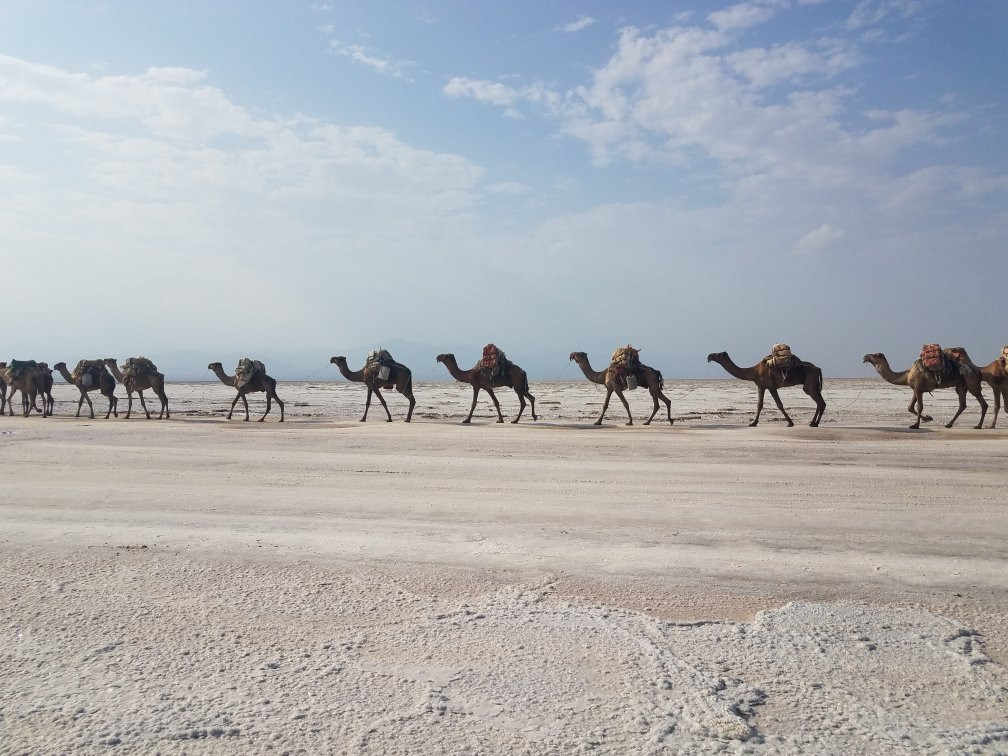 Bela Addis Hotel主图