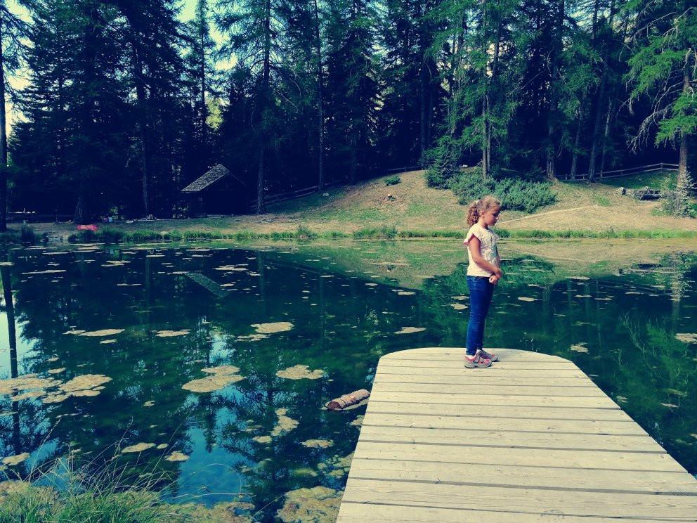 Foret Domaniale de Boscodon景点图片