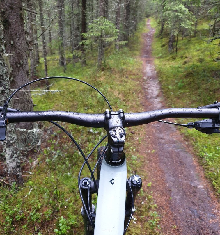 Trysil Bike Arena景点图片