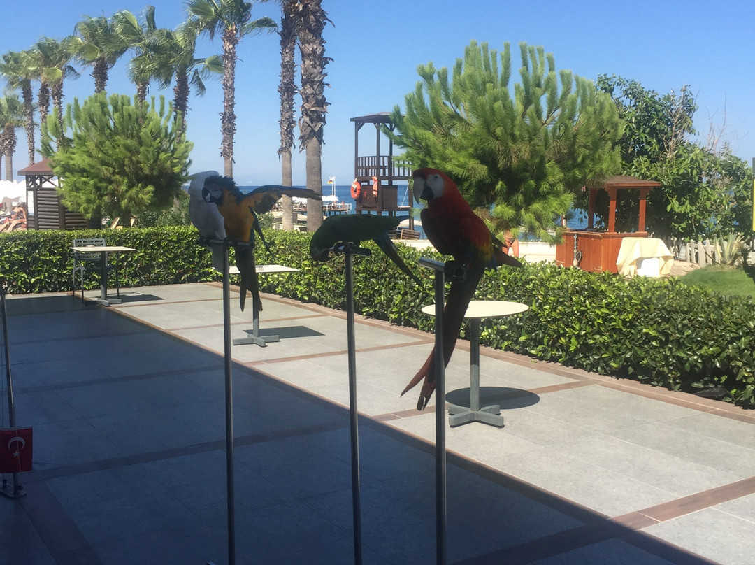 Sherwood Exclusive Kemer