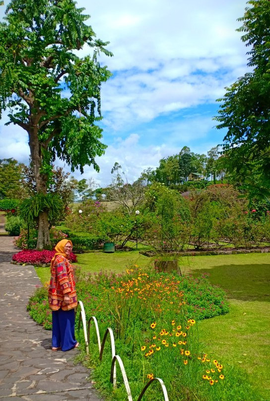 Kebun Mawar Garut景点图片