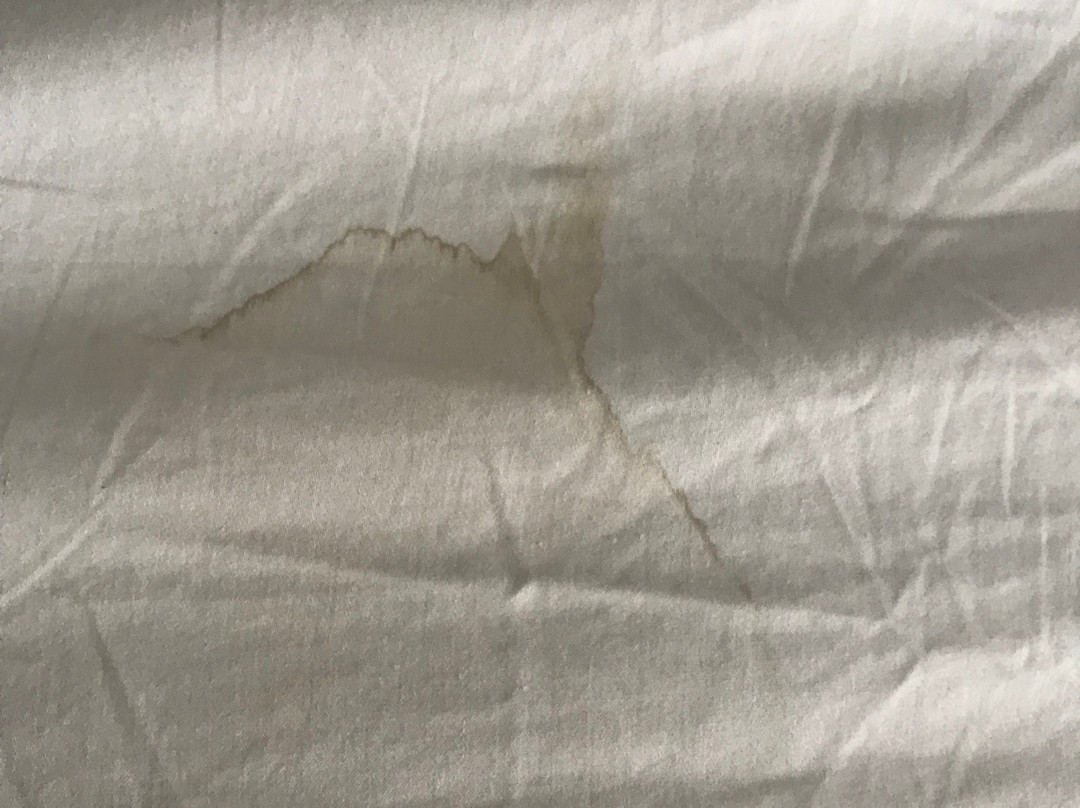 The Harbor House Inn主图