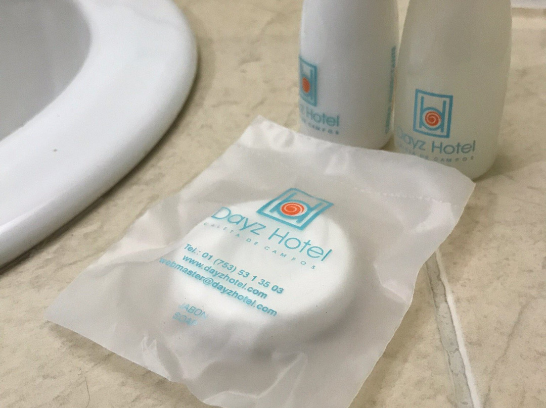 Dayz Hotel Caleta de Campos主图