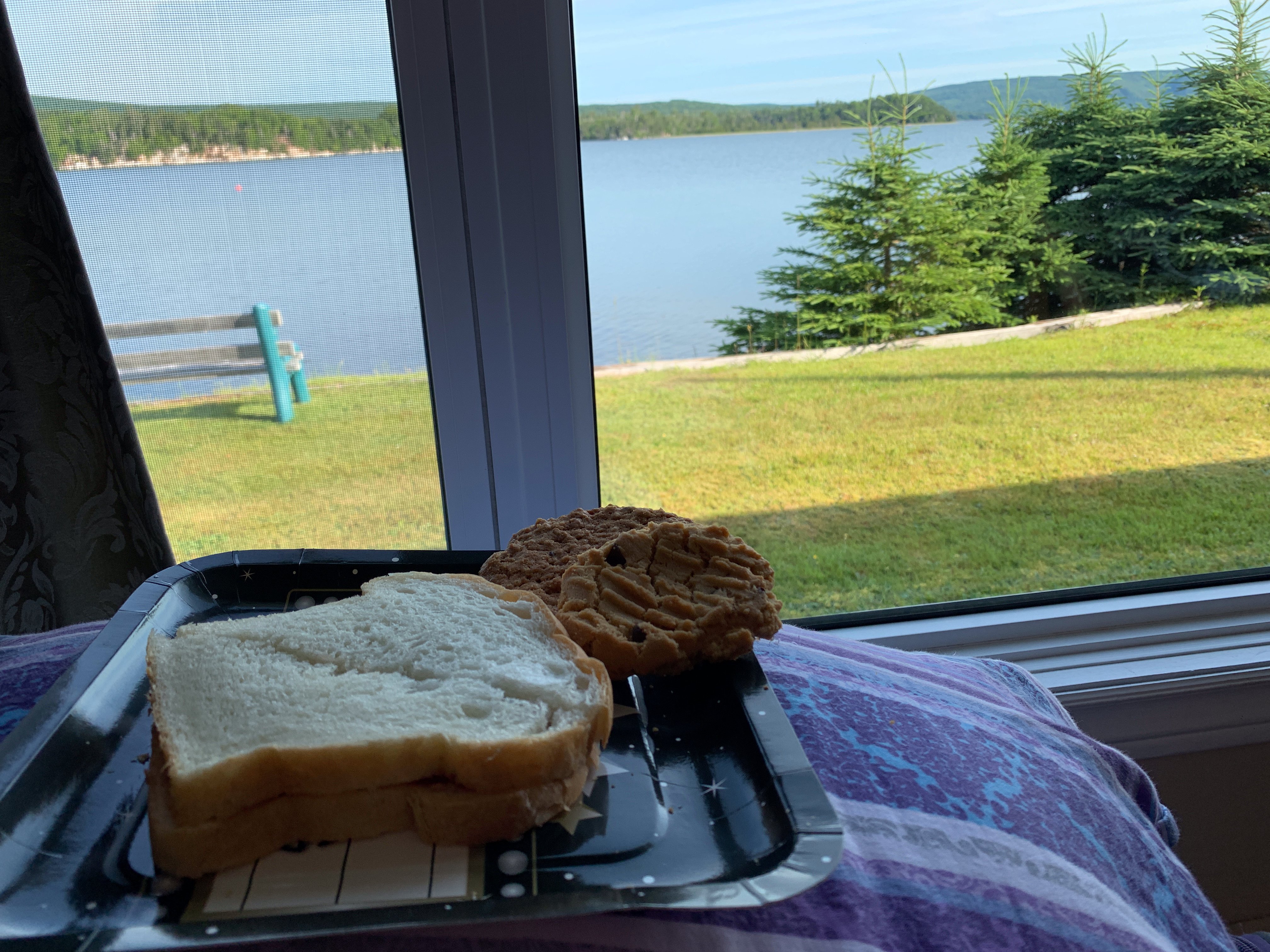 St. Ann's Motel-酒店景观