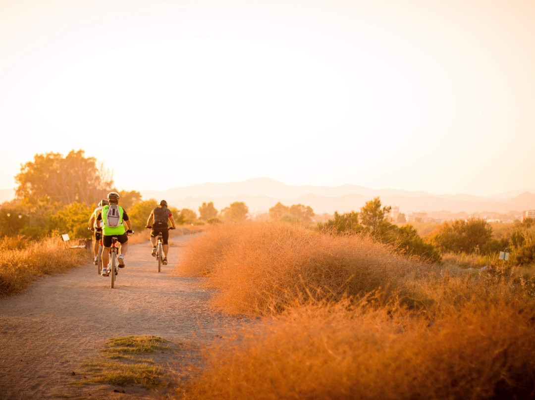 Rent My Bike Australia-季隆必去景点