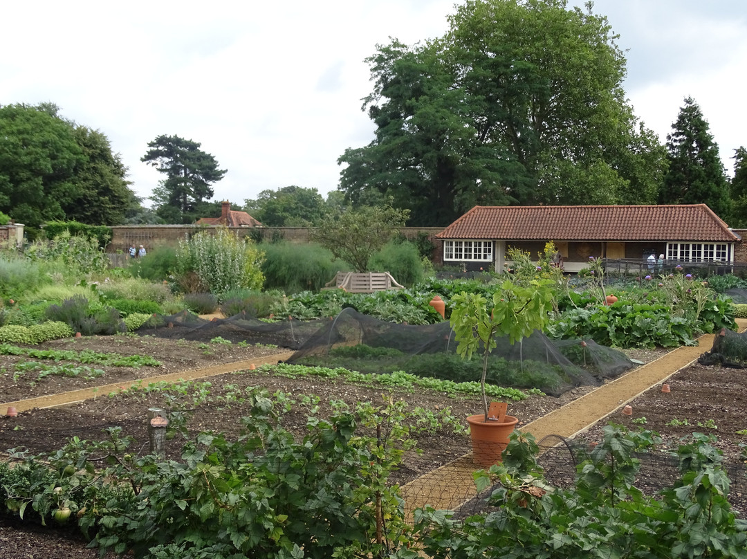 Hobnob Tours-伦敦必去景点