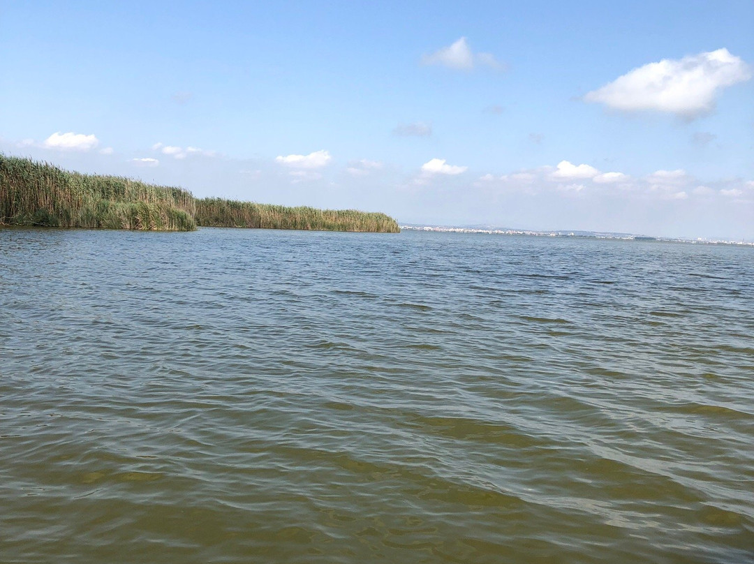 Albufera Parc-巴伦西亚必去景点