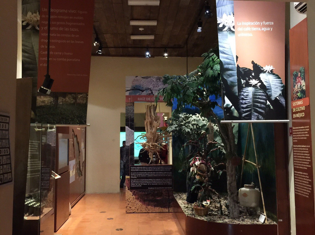 Museo del Café de Chiapas-图斯特拉古铁雷斯必去景点