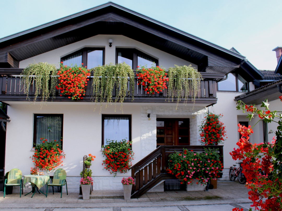 Apartmaji Janša主图