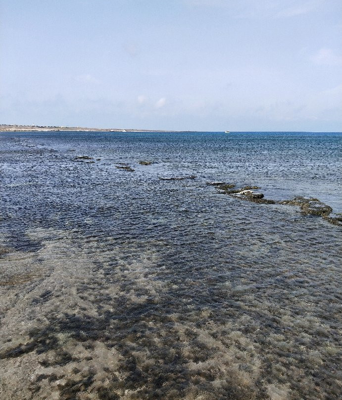 Cala del Pozzo景点图片
