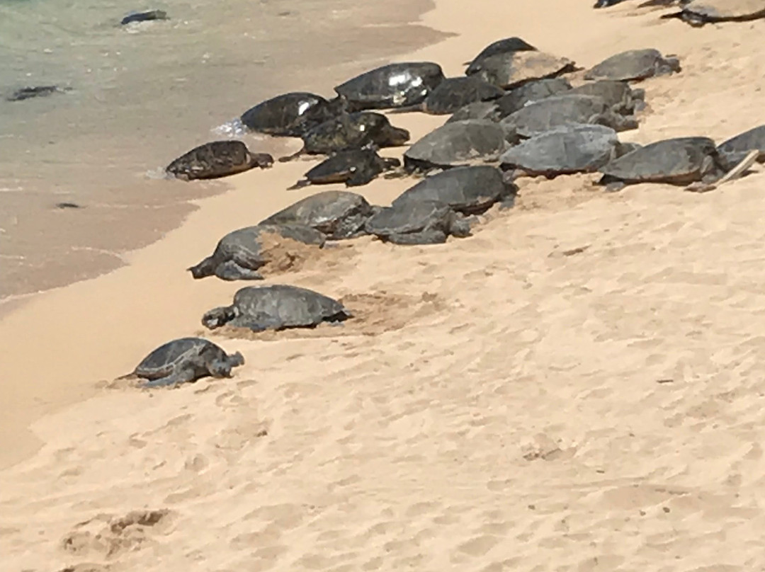 Epic Experience Adventure tours-毛伊岛必去景点