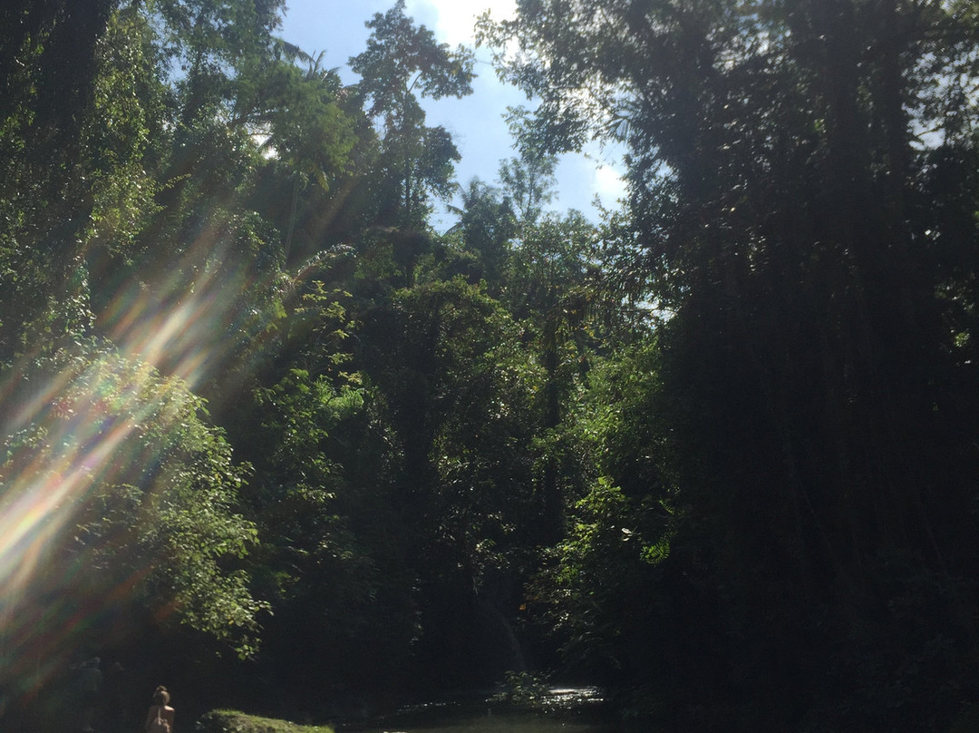 Green Bali Trekking景点图片