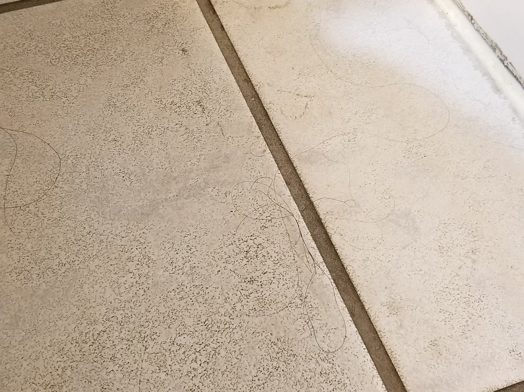 Super 8 by Wyndham Redding主图