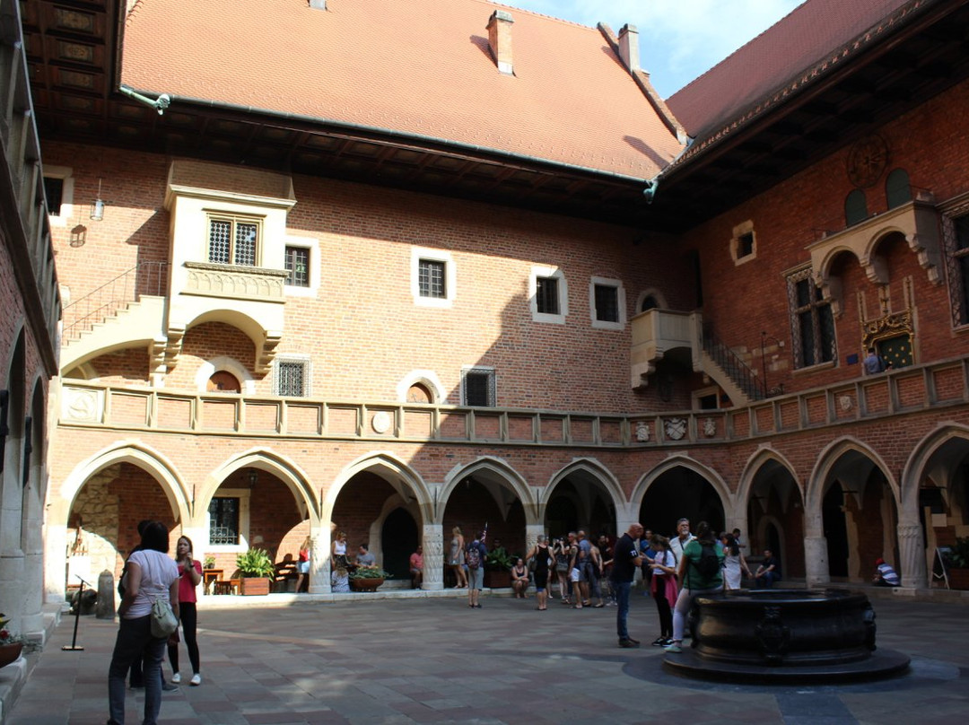 Jagiellonian University Museum Collegium  Maius景点图片