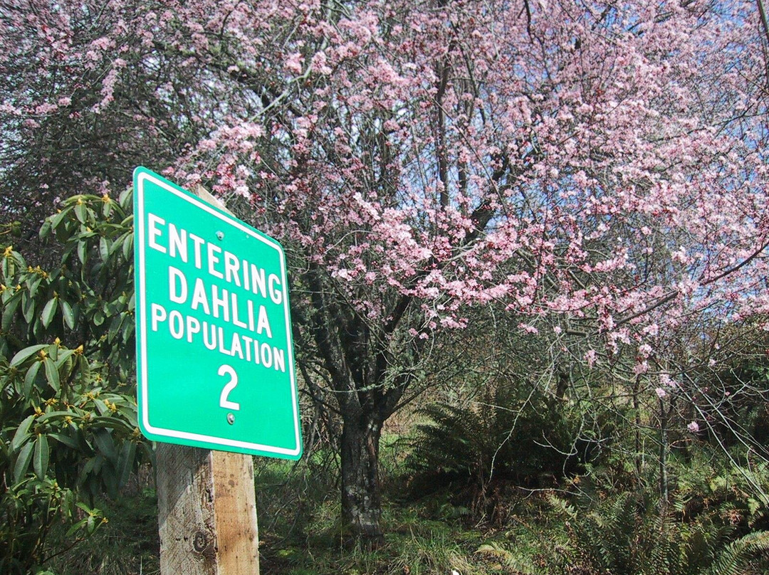 Dahlia House Bed & Breakfast主图