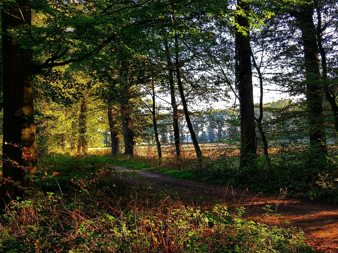 Levenspadwandeling Slangenburg-Doetinchem必去景点