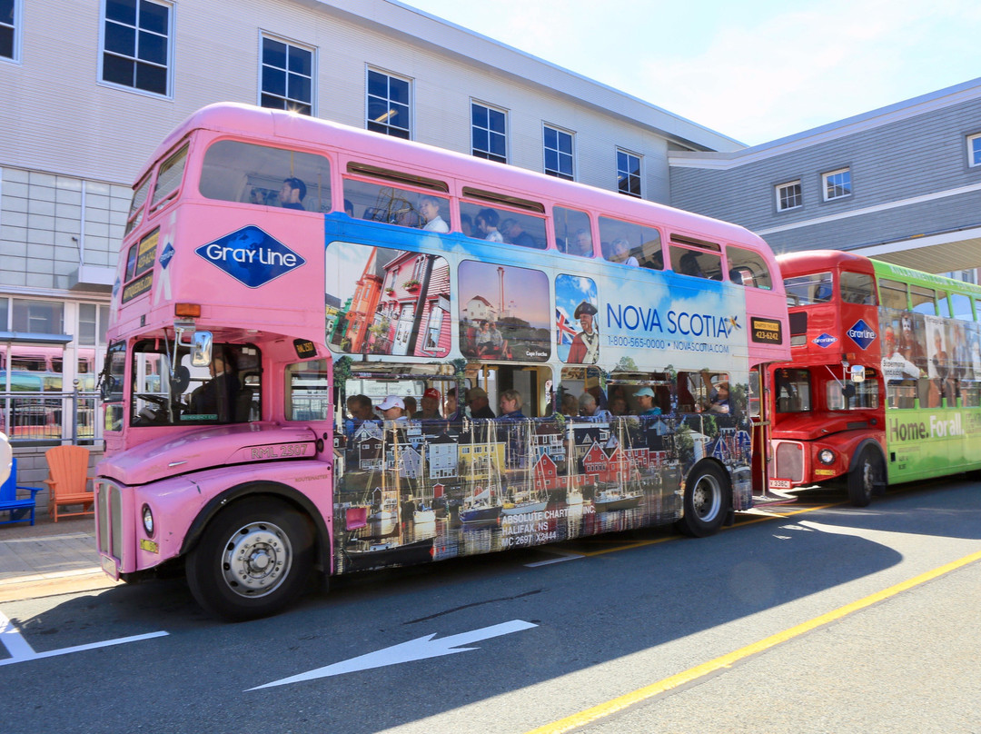 Gray Line Halifax-哈利法克斯必去景点