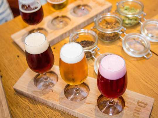 F&B ROY TOURS-布鲁塞尔必去景点