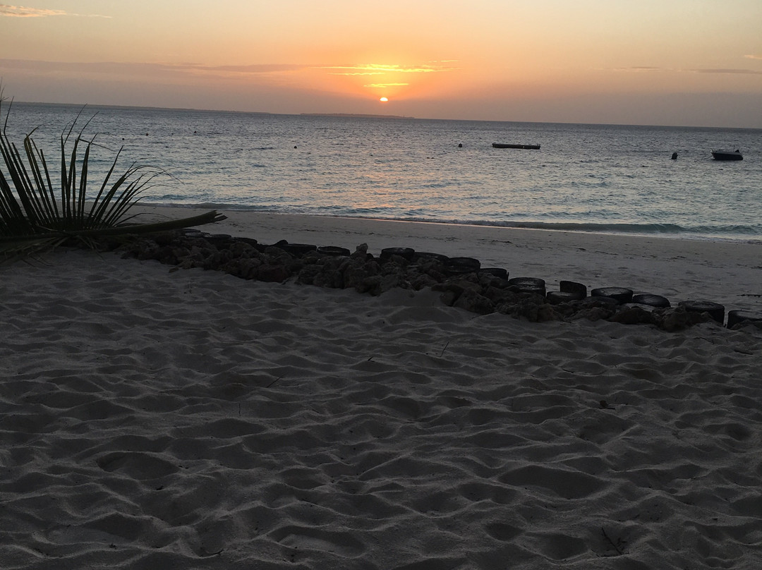 Zanzibar & Beyond Safaris-桑给巴尔市必去景点