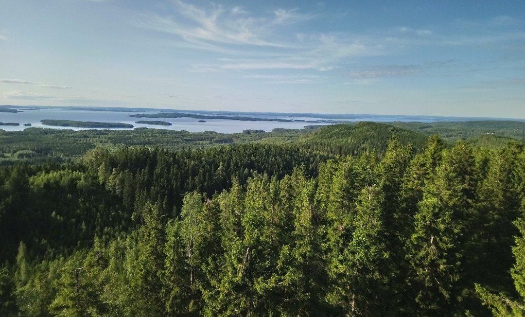 Räsävaara Observation tower-Koli National Park必去景点