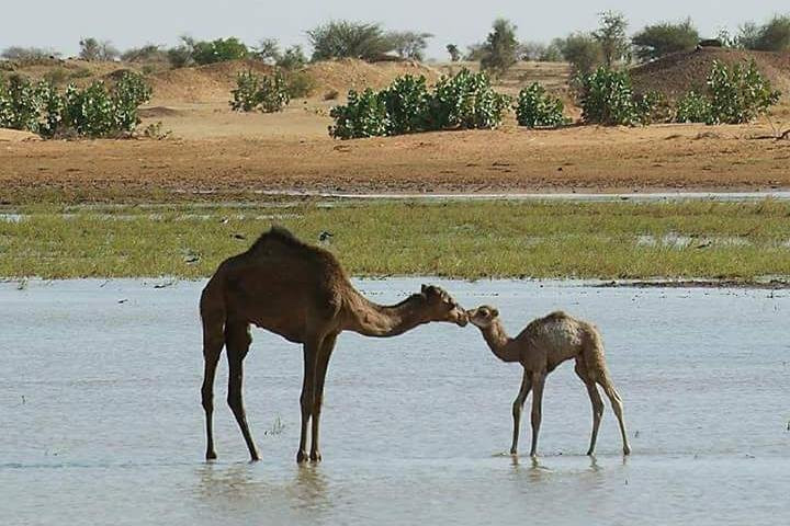 Desert Atmosphere Services-瓦尔扎扎特必去景点