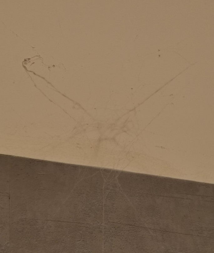 La Moulin de la Soriniere主图