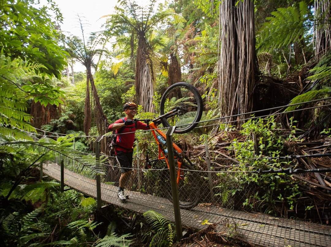 Mountains to Sea Cycle Trail-奥阿库尼必去景点