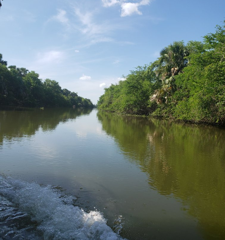 Pantanos de Centla景点图片