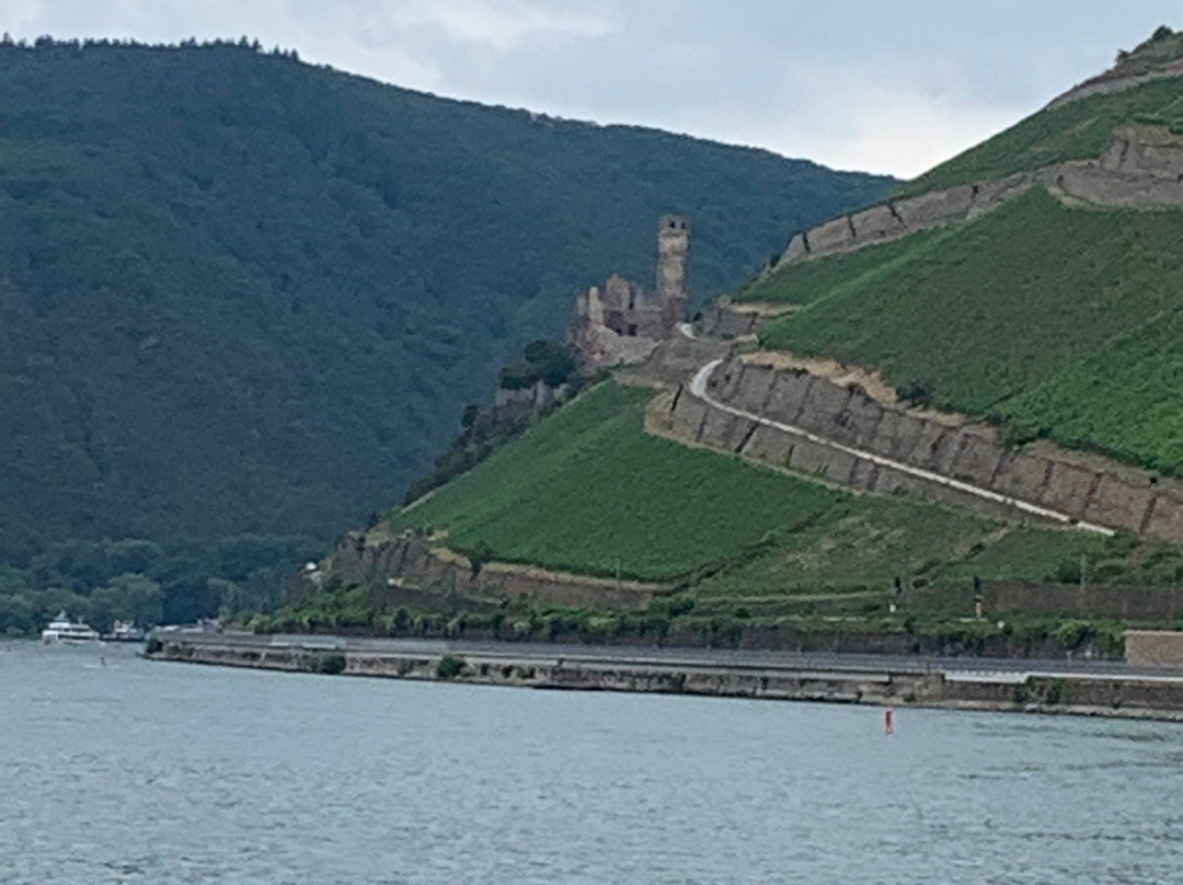 Lorelei Valley Boat Tour-吕德斯海姆必去景点