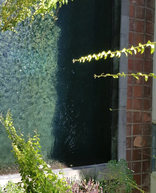 布朗费德酒店主图