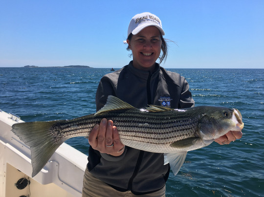 Fish Portland Maine-南波特兰必去景点