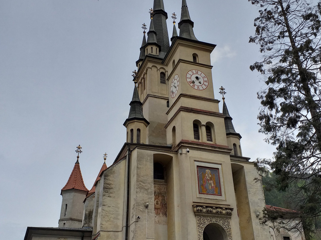 Biserica Ortodoxa Sfântul Nicolae景点图片